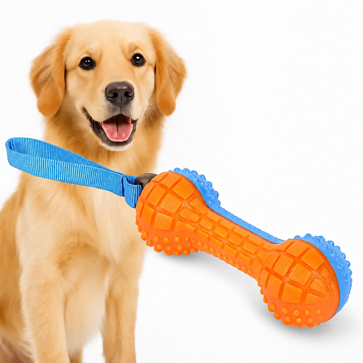 Kauçuk Sesli Dumbell Model Köpek Diş Kaşıma ve Eğitim Oyuncağı