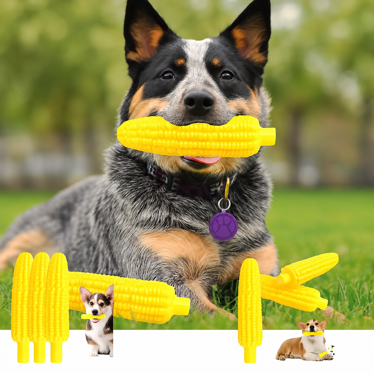 Sesli Mısır Kedi Köpek Oyuncağı (Karton Askılı) 1 Adet