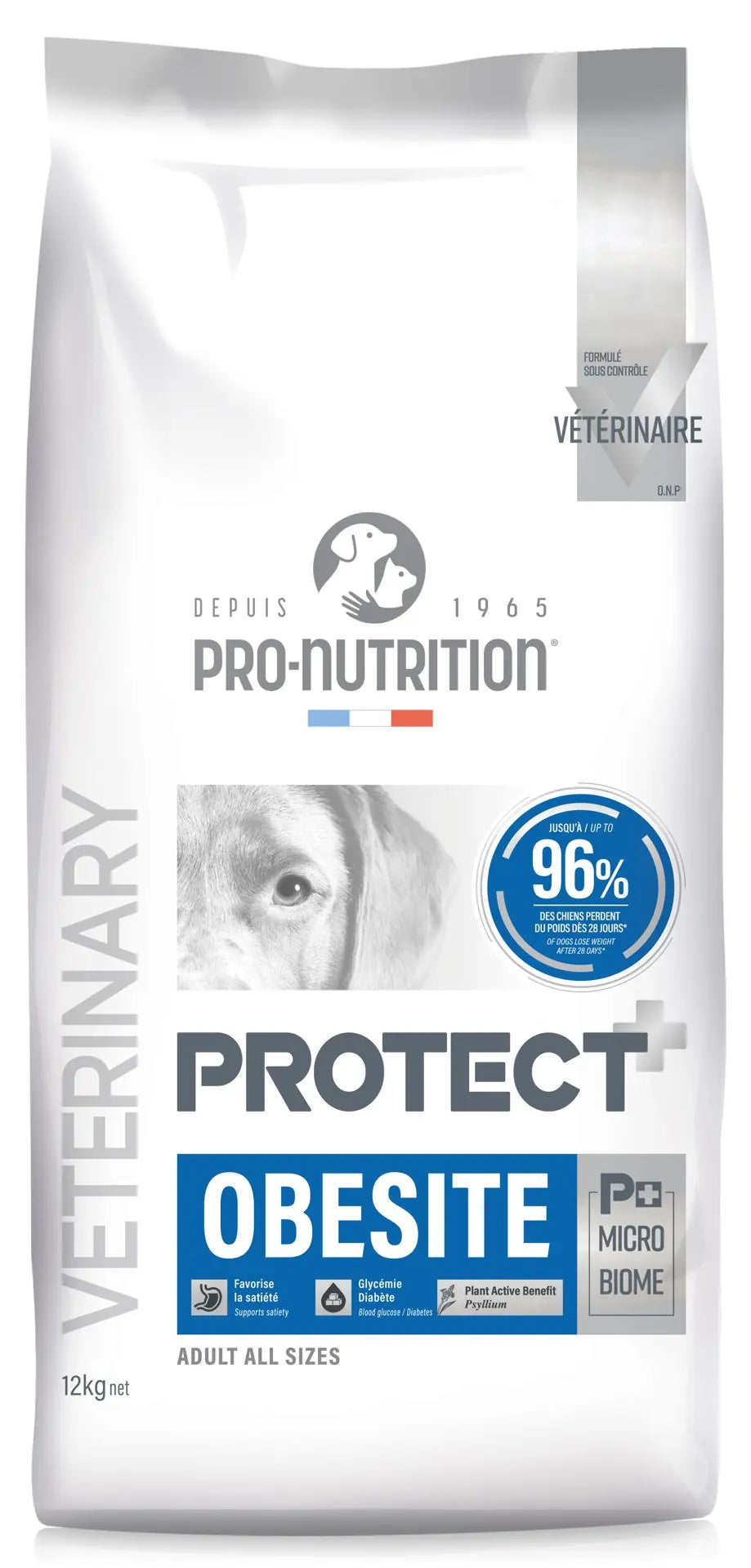 Pro Nutrition Protect Veterinary Obesite Kilo Kontrolü İçin Köpek Maması 2 kg paket görseli