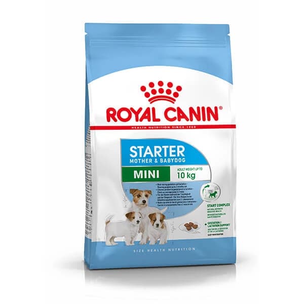 Royal Canin Mini Starter Anne ve Yavru Köpek Maması 4 kg paket görseli