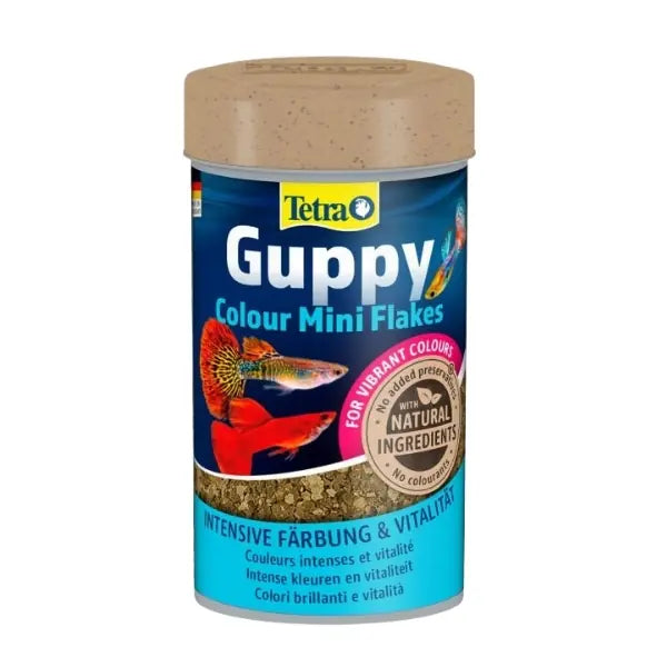 Tetra Guppy Colour Mini Flakes Lepistes Pul Balık Yemi 100 ml paket görseli