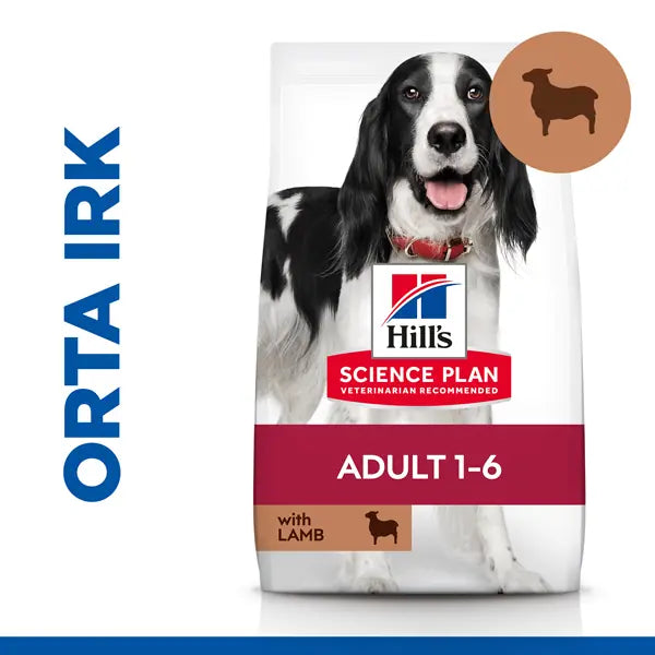 Hills Kuzu Etli Orta Irk Yetişkin Köpek Maması 12+2 kg Hediyeli paket görseli