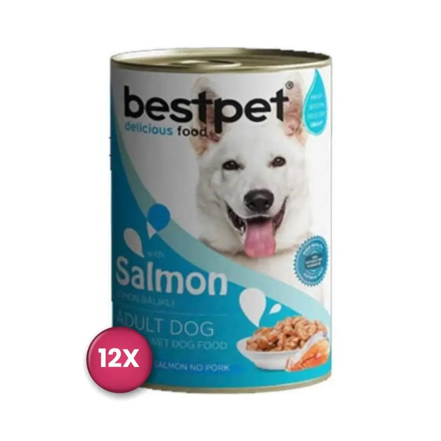Bestpet Jöle İçinde Parça etli Balıklı Konserve Yetişkin Köpek Maması 400 g paket görseli