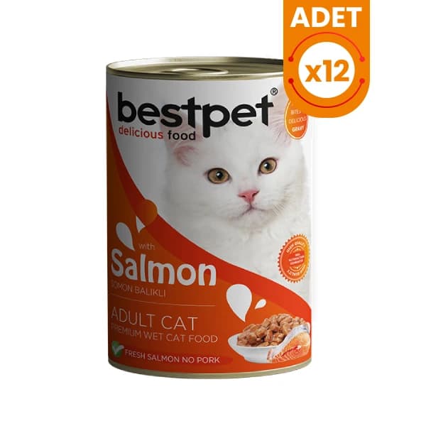 Bestpet Somonlu Jöleli Yetişkin Konserve Kedi Maması 400 g / 12 Adet paket görseli
