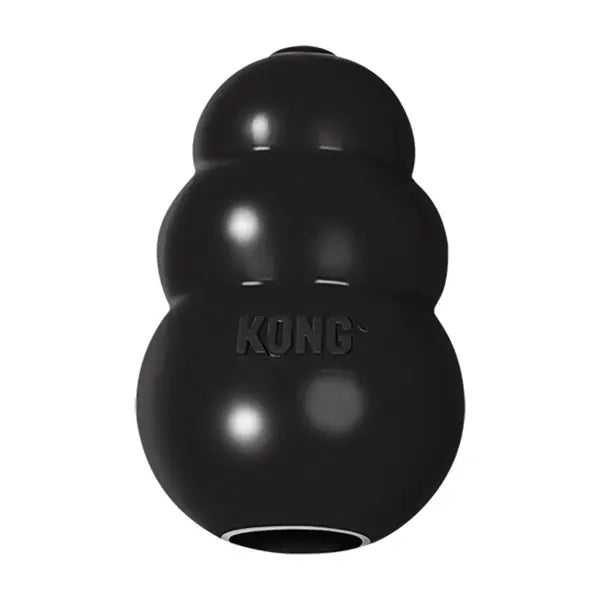 Kong Extreme Ödül Hazneli Köpek Oyuncağı Medium paket görseli