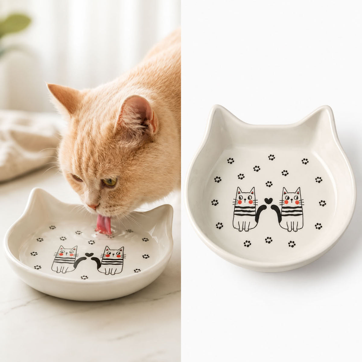 Kedi Desenli Seramik Mama Su Kabı (KUTULU)