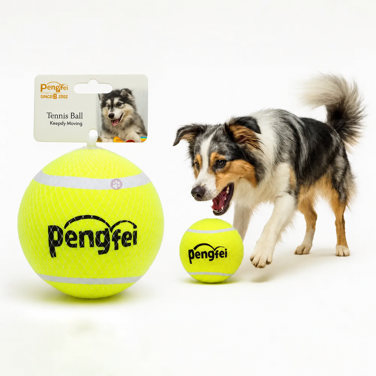 Köpek için 10 cm büyük boy tenis topu