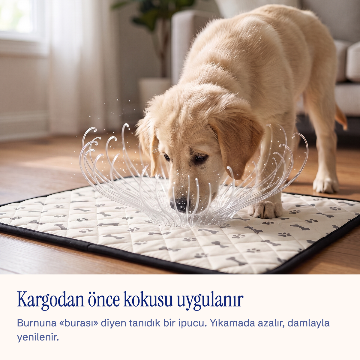 Kargodan önce yönlendirici eğitim kokusu uygulanır