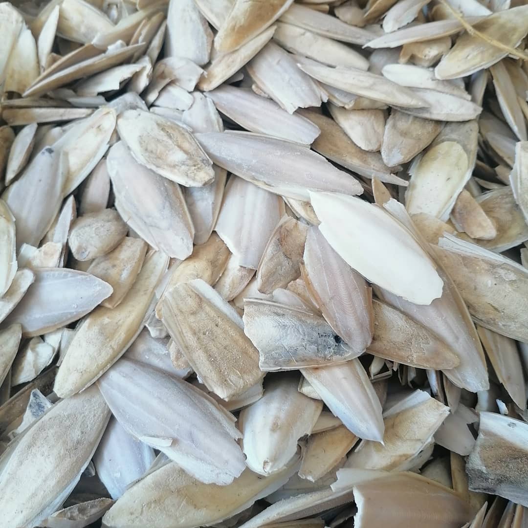 İthal Kalamar Kemiği 5 kg paket görseli