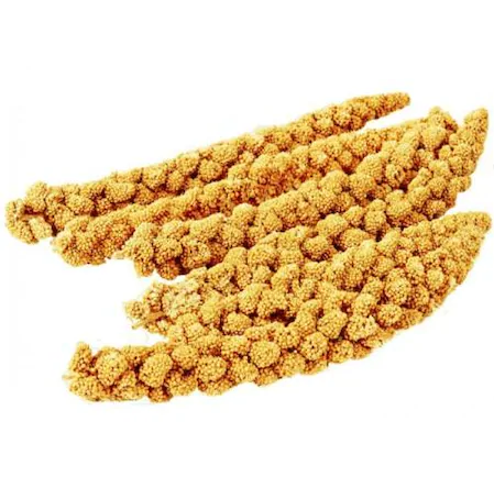 Dal Darı 1 kg paket görseli