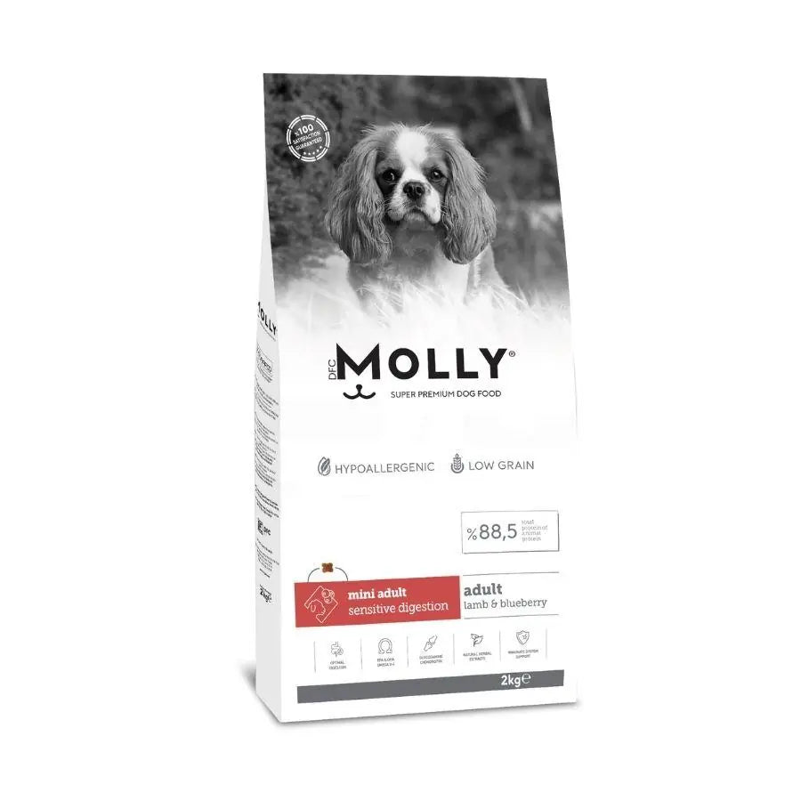 Molly Düşük Tahıllı Hypoallergenic Kuzulu ve Yaban Mersinli Küçük Irk Yetişkin Köpek Maması 2 kg paket görseli