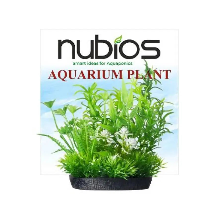 Nubios Kare Tabanlı Plastik Bitki 10 Cm paket görseli
