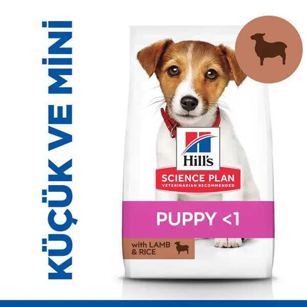 Hills Puppy Small ve Mini Kuzu Etli Küçük Irk Yavru Köpek Maması 1+500 g Hediyeli paket görseli