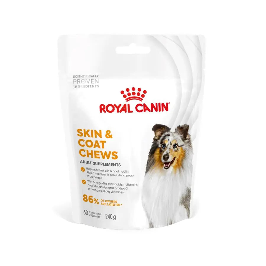 Royal Canin Yetişkin Köpekler İçin Deri ve Tüy Sağlığını Destekleyen Tamamlayıcı Ödül Maması 240 g paket görseli