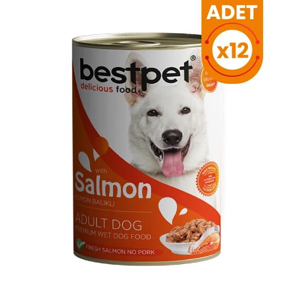 Bestpet Somonlu Jöleli Yetişkin Köpek Konservesi 400 g / 12 Adet paket görseli