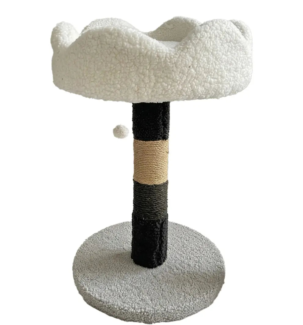 Tommy Teraslı Kedi Çok Renkli Tırmalama Tahtası 40x40x60 paket görseli