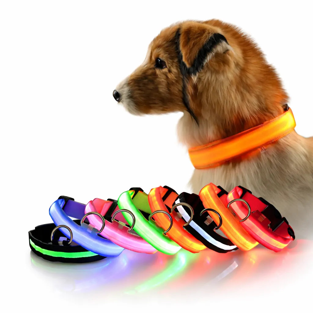 Işıklı Kedi Köpek Boyun Tasması – S