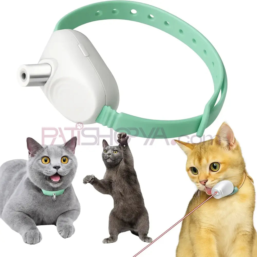 Lazerli Kedi Boyunluğu Oyuncak (Kutulu)