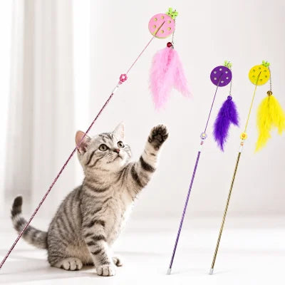 Uğur Böceği Desenli Kedi Oyun Oltası