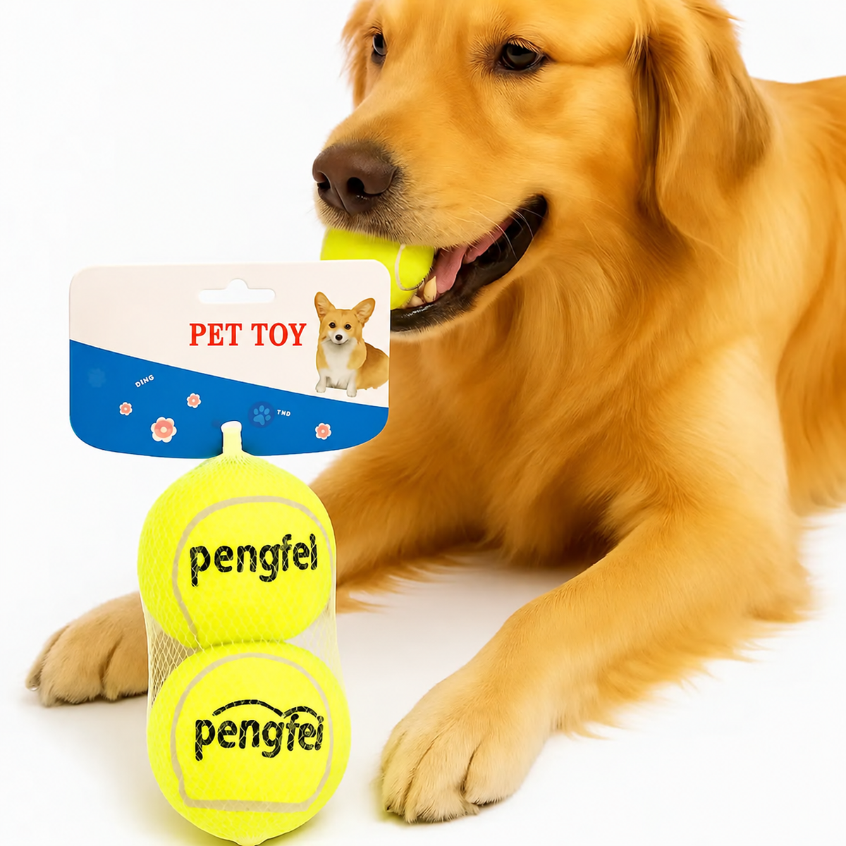 Karton askılı ikili köpek tenis topu